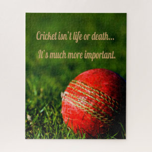 Puzzle Motivation amusante de la balle rouge de cricket