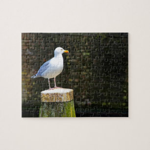 Puzzle Mouette