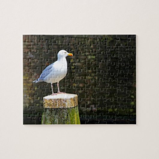 Puzzle Mouette (Horizontal)