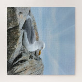Puzzle Mouette En Bord De Mer (Horizontal)