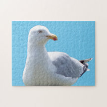 Mouette paisible au repos Scène de nature d'oiseau