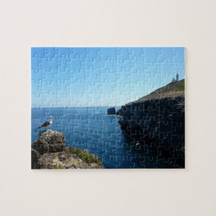 Puzzle Mouette sur l'île d'Anacapa dans les Channel Islan