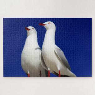 Puzzle mouettes