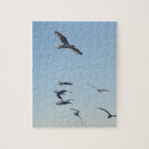 Mouettes Élégantes Planant Au-Dessus Des Vagues De