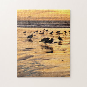 Puzzle Mouettes sur la plage au coucher du soleil