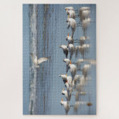 Puzzle Mouettes sur la plage de Floride (Vertical)