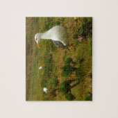 Puzzle Mouettes sur l'île d'Anacapa (Vertical)