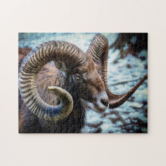 Puzzle Mouflon sur le lac (Horizontal)