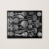 Puzzle Moules de boue en noir et blanc (Horizontal)