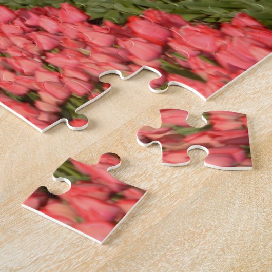 Puzzle Moulin à vent avec les tulipes roses au printemps (Côté)