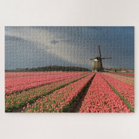 Puzzle Moulin à vent avec les tulipes roses au printemps (Horizontal)
