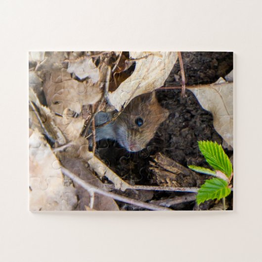 Puzzle Mouse (Horizontal)