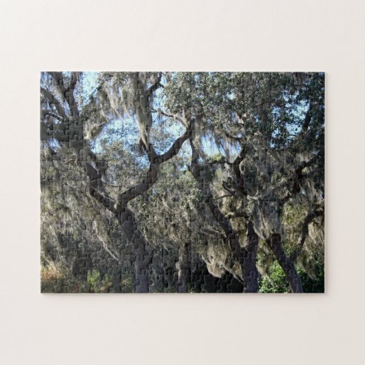 Puzzle Mousse espagnole de Floride (Horizontal)