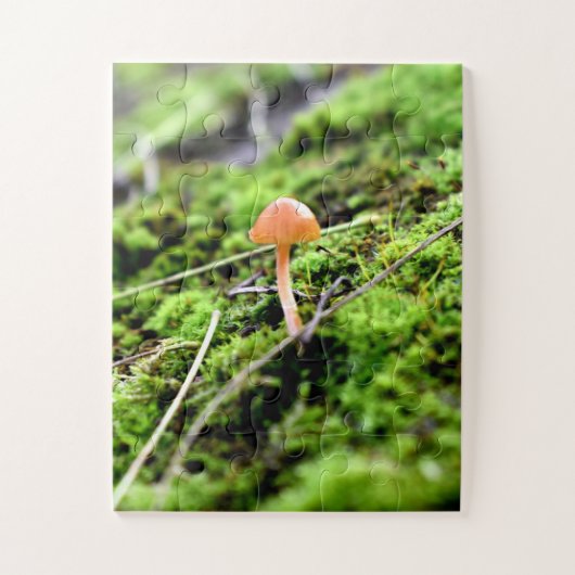 Puzzle Mousses et lichens avec de minuscules champignons (Vertical)
