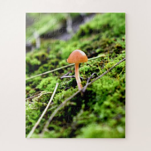 Puzzle Mousses et lichens avec de minuscules champignons (Vertical)