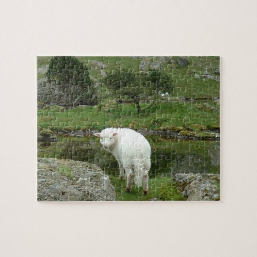 Puzzle Mouton blanc, Pays de Galles et Campagne britanniq (Horizontal)