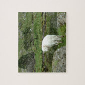 Puzzle Mouton blanc, Pays de Galles et Campagne britanniq (Vertical)