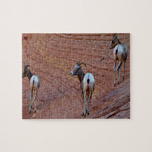 Puzzle Mouton de montagne Utah (Horizontal)