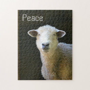 Puzzle Mouton pacifique