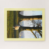 Puzzle mouton solitaire (Horizontal)