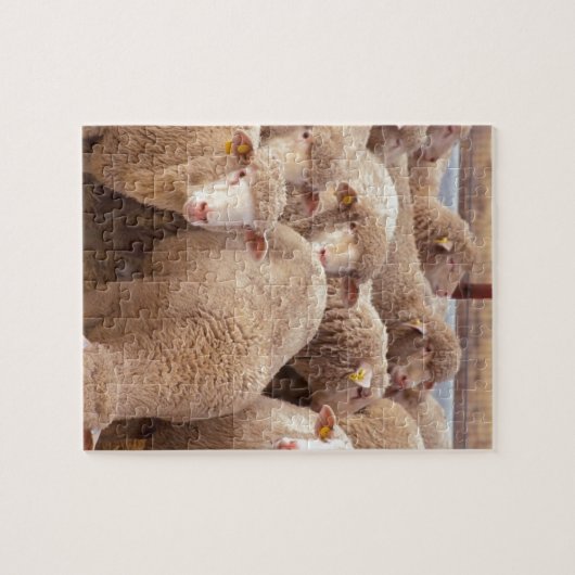 Puzzle Moutons (Horizontal)