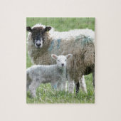 Puzzle Moutons avec son agneau (Vertical)