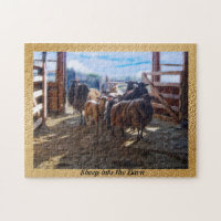Moutons dans la grange