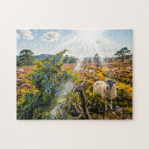 Puzzle Moutons dans la lande avec genévrier
