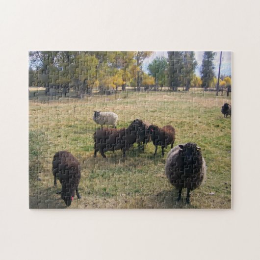 Puzzle Moutons dans le pâturage (Horizontal)