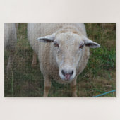 Puzzle Moutons dans un champ (Horizontal)