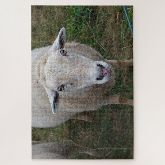Puzzle Moutons dans un champ (Vertical)