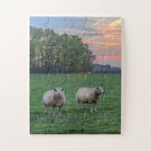 Puzzle Moutons en champ avec coucher de soleil