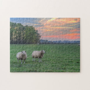 Puzzle Moutons en champ avec coucher de soleil