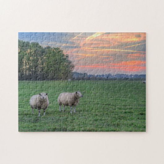 Puzzle Moutons en champ avec coucher de soleil (Horizontal)