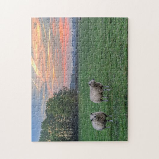 Puzzle Moutons en champ avec coucher de soleil (Vertical)