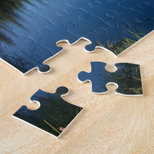 Puzzle Mt. Capot (Côté)