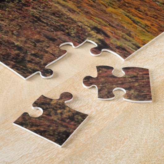 Puzzle Mt. Parc national McKinley Denali, Alaska (Côté)