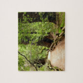 Puzzle Muir Woods Path II Nature Photography (Vertical)