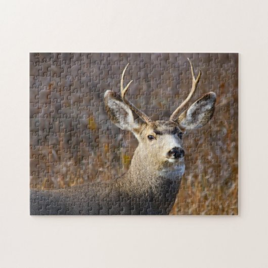 Puzzle Mule Deer. (Horizontal)
