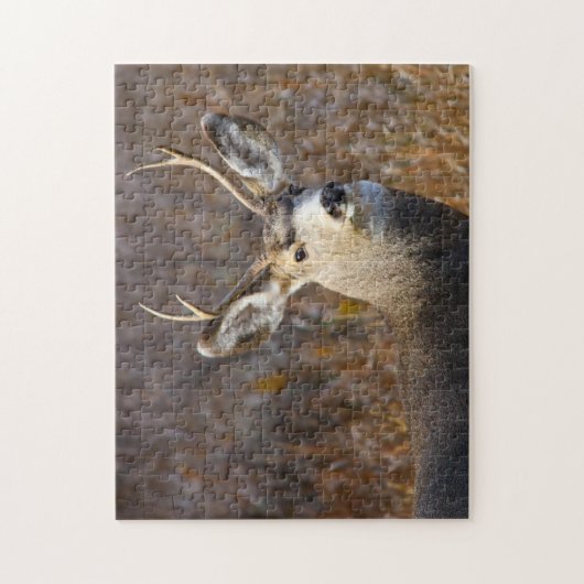 Puzzle Mule Deer. (Vertical)