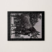 Puzzle Mule du Missouri (Horizontal)