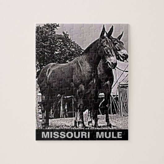 Puzzle Mule du Missouri (Vertical)