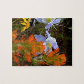 Puzzle multicolore (Horizontal)