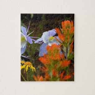 Puzzle multicolore
