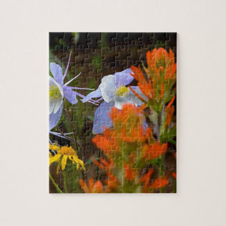 Puzzle multicolore