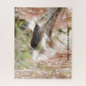 Puzzle Munia à poitrine épineuse ; Oiseaux (Vertical)