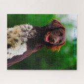 Puzzle Munsterlander. (Horizontal)