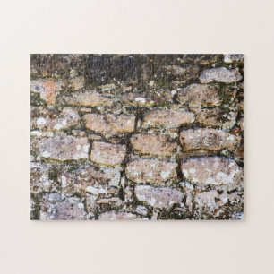 Puzzle Mur de ruines mayas