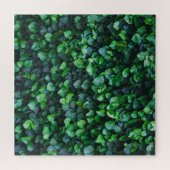 Puzzle Mur vert ivoire : surface naturelle. (Horizontal)