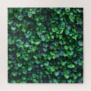 Puzzle Mur vert ivoire : surface naturelle.